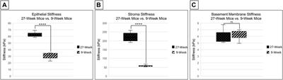 Age Dependent Changes in Corneal Epithelial Cell Signaling